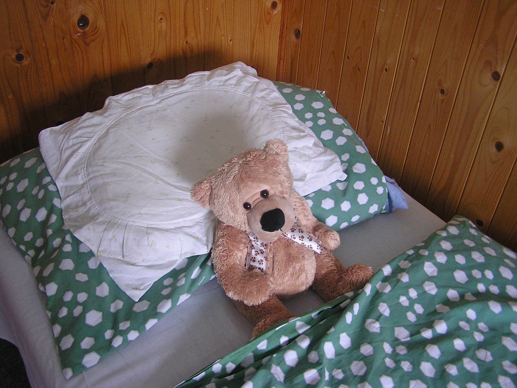 P5300067.JPG